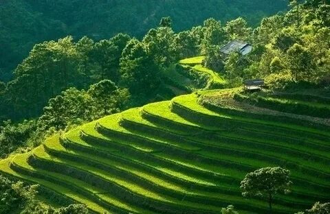 Chuyên gia Hotspot Matrix phân tích: Nữ diễn viên có style 
