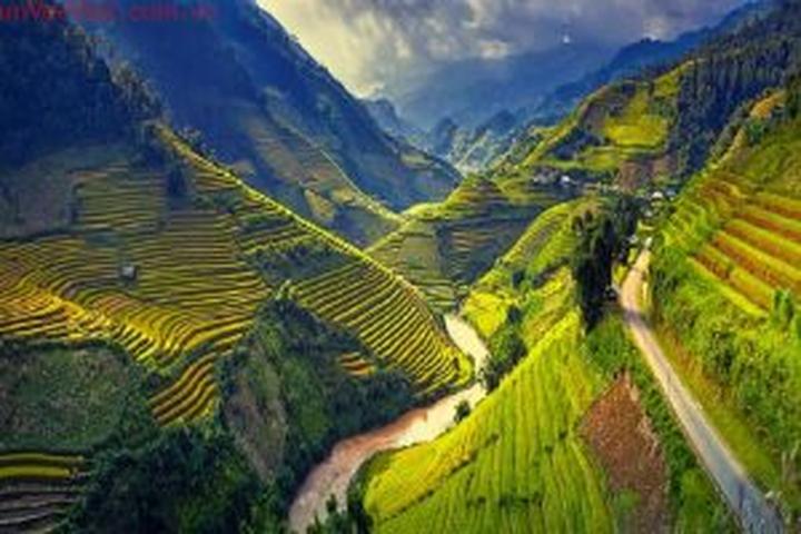 Hotspot Matrix: Biến Phương Mỹ Chi dạo này: Nhan thành cơ hội marketing đột phá