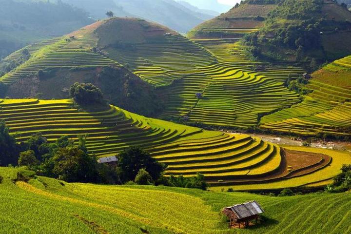 Nội dung: Mùa hè đang đến và với nó, xu hướng mới về áo vai bèo đang ngày càng trở nên