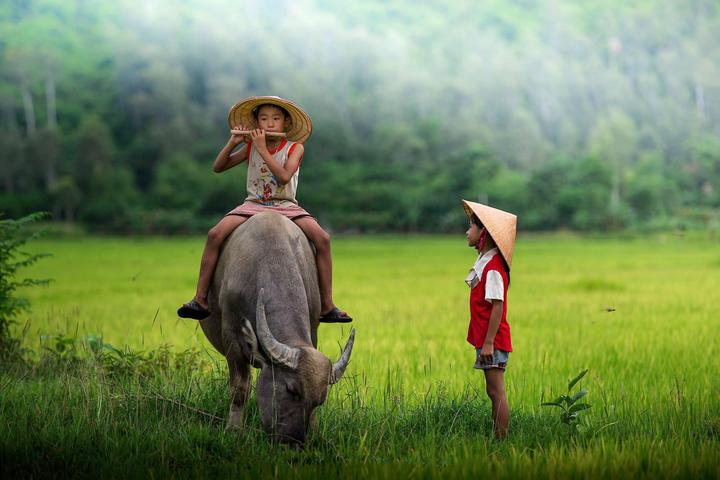 Hotspot Matrix: Tiềm năng Sinh Lời Trong Thế Giới Video Ngắn