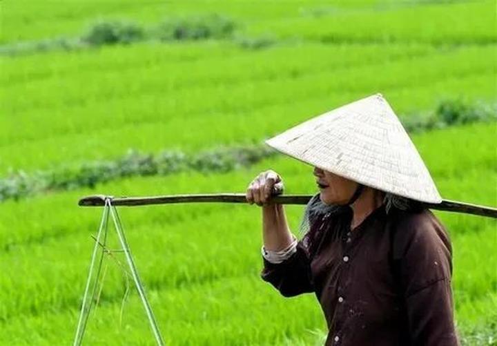 Chụp ảnh xinh như “nàng thơ” - Cảm hứng video marketing từ Hotspot Matrix